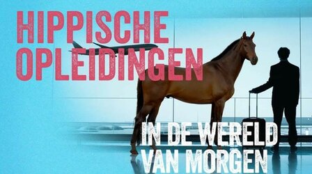Tijdens deze bijeenkomst zal Margriet Ybema, van Ruitervitaal By Margriet, ons meenemen in de wereld van ruitervitaal. We gaan 