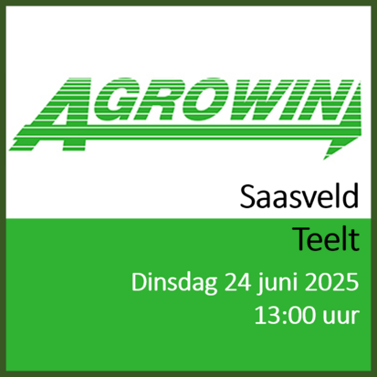 Saasveld - 24 juni 2025 - middag - Teelt