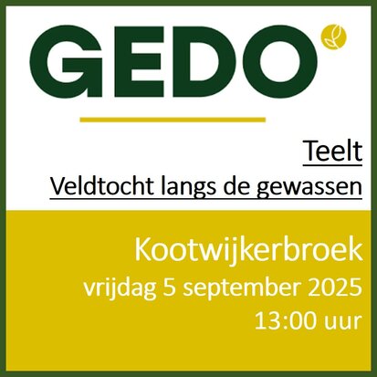Kootwijkerbroek - vrijdag 5 september - Teelt - middag