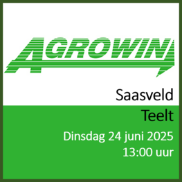 Saasveld - 24 juni 2025 - middag - Teelt